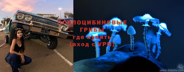 СК Горно-Алтайск