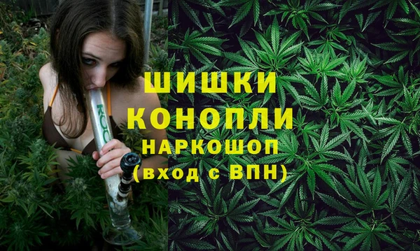 СК Горно-Алтайск