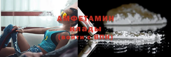 ПСИЛОЦИБИНОВЫЕ ГРИБЫ Горняк