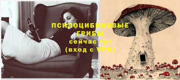 СК Горнозаводск