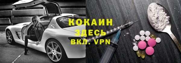 ПСИЛОЦИБИНОВЫЕ ГРИБЫ Горняк