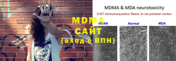 ПСИЛОЦИБИНОВЫЕ ГРИБЫ Горняк